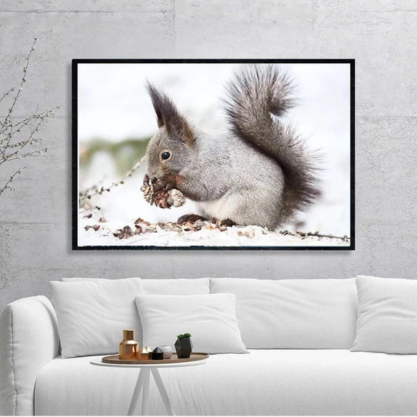 White Squirrel Eating Wall Art Poster