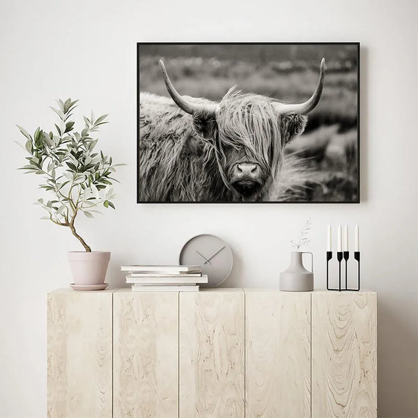 Black and White Scottish Highland Cow Wall Art