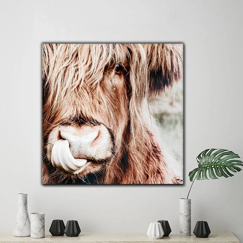 Wild Animal Highland Cow Poster