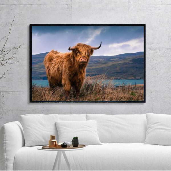 Scottish Highland Cow Wild Animals Painting