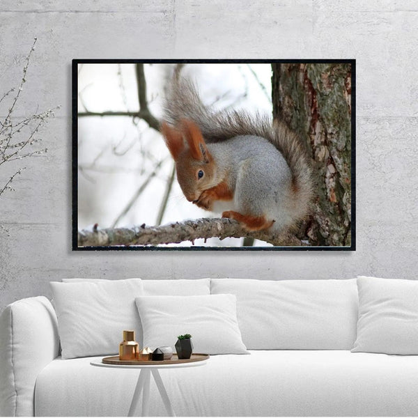 Acrylic Painting Squirrel Wall Art