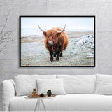Yak Highland Cow Wild Wall Art