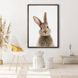 Bunny Rabbit Wall Art